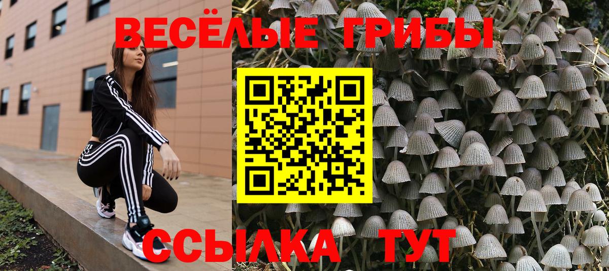 Псилоцибиновые грибы Cubensis  Вход с VPN  Балашиха 