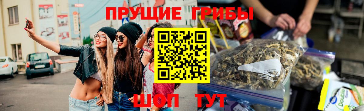 Псилоцибиновые грибы Psilocybe Балашиха